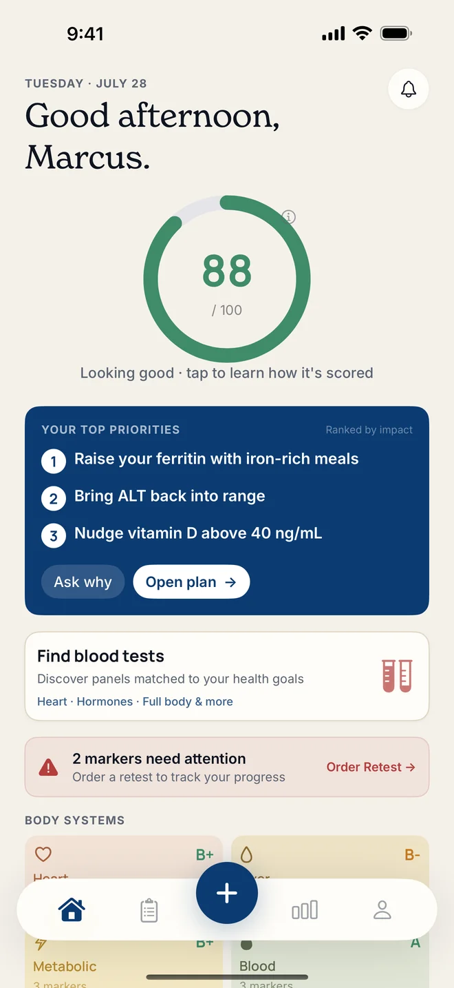 Real Tohar screenshot: home screen with Tohar Score 88 and top priorities