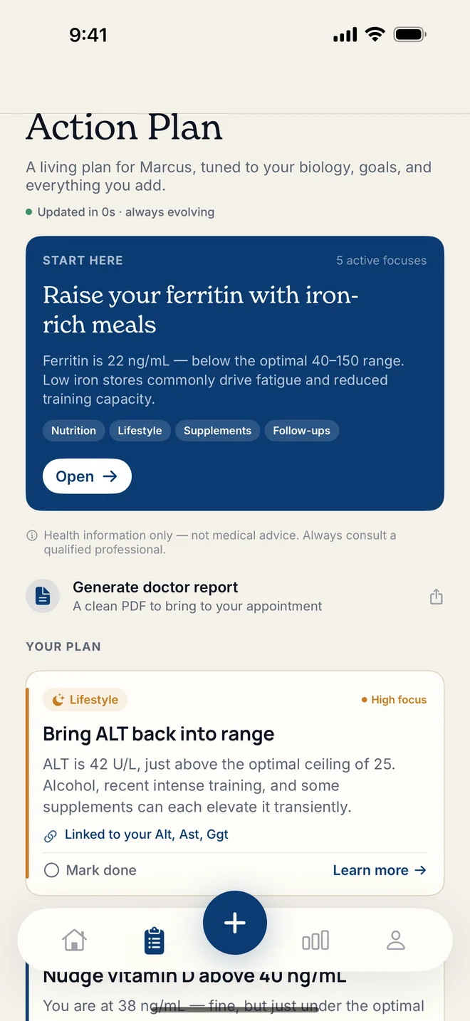 Real Tohar screenshot: prioritised action plan with focus items